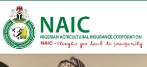 NAIC Recruitment