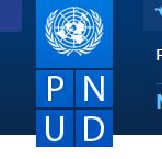 UNDP Recruitment Form